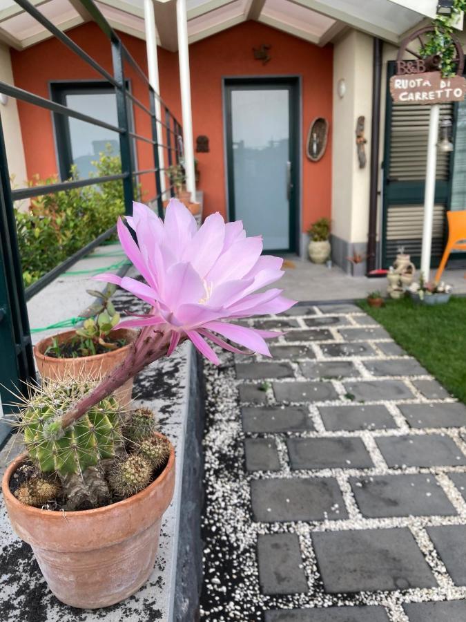 B&B Ruota Di Carretto Nicolosi Exterior photo